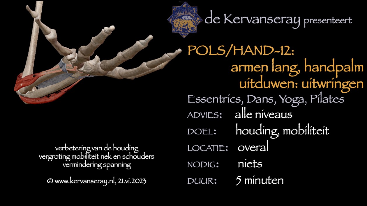 oefening reset losmaken pols & hand: 12 arm lang handpalm uitduwen en uitwringen