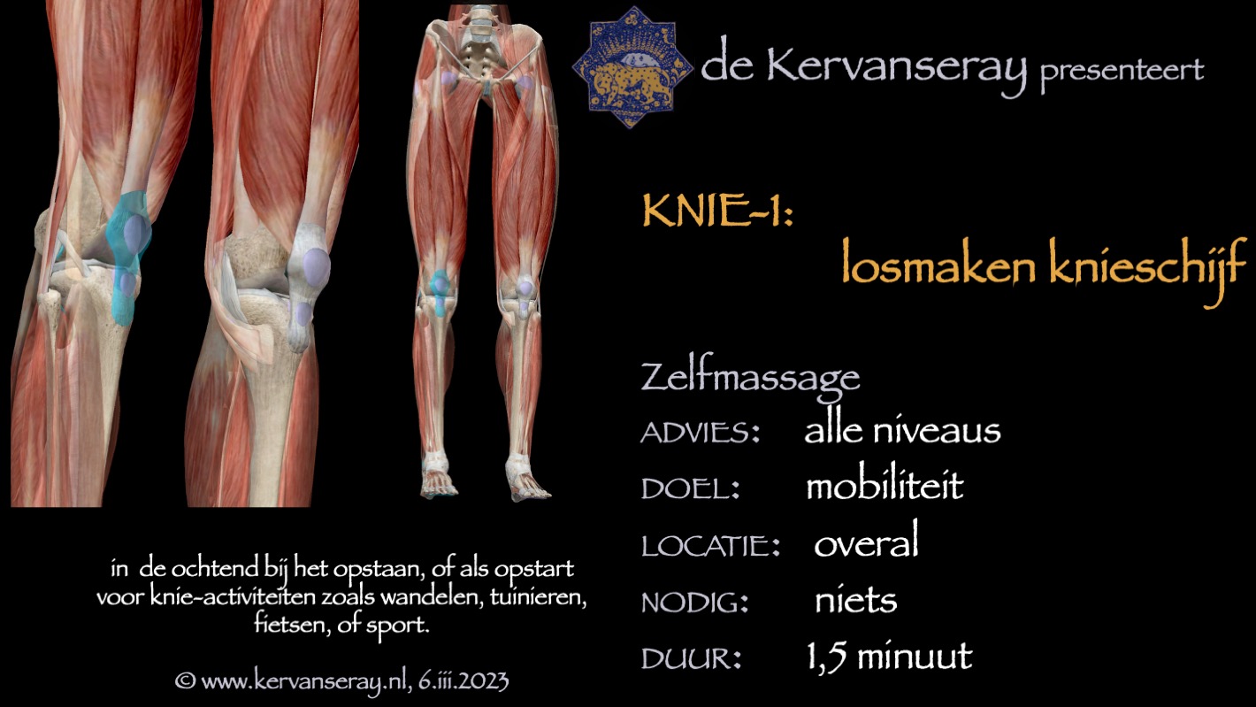 oefening reset losmaken knie: 1 knie losmasseren