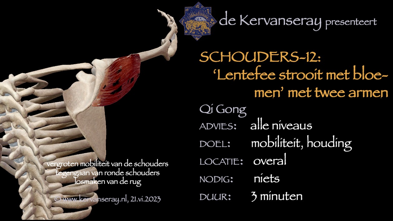 oefening reset losmaken schouders: 12 'lentefee strooit met bloemen' twee armen