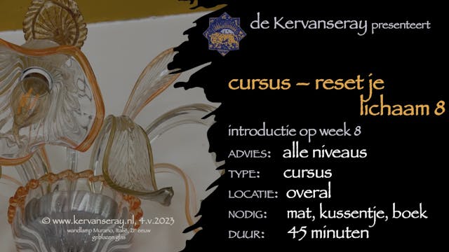 cursus reset je lichaam: week 8