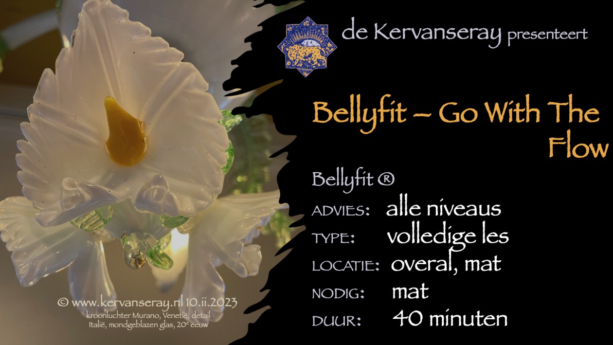 les bellyfit: 4 thema work-out 'go with the flow' 
