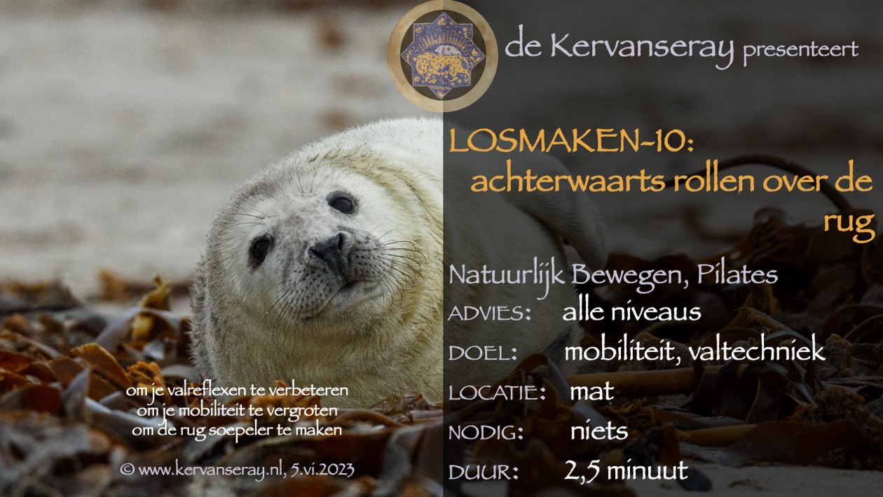 oefening reset losmaken op de mat: 10 achterwaarts rollen over de rug