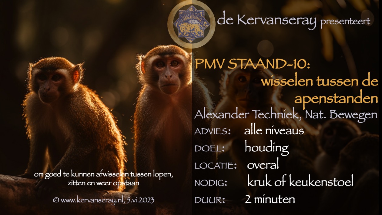 oefening reset PMV staand: week 9 gaan zitten uit diepe apenstand