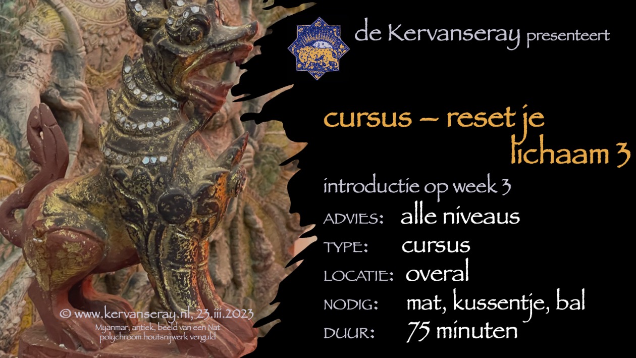 cursus reset je lichaam: week 3