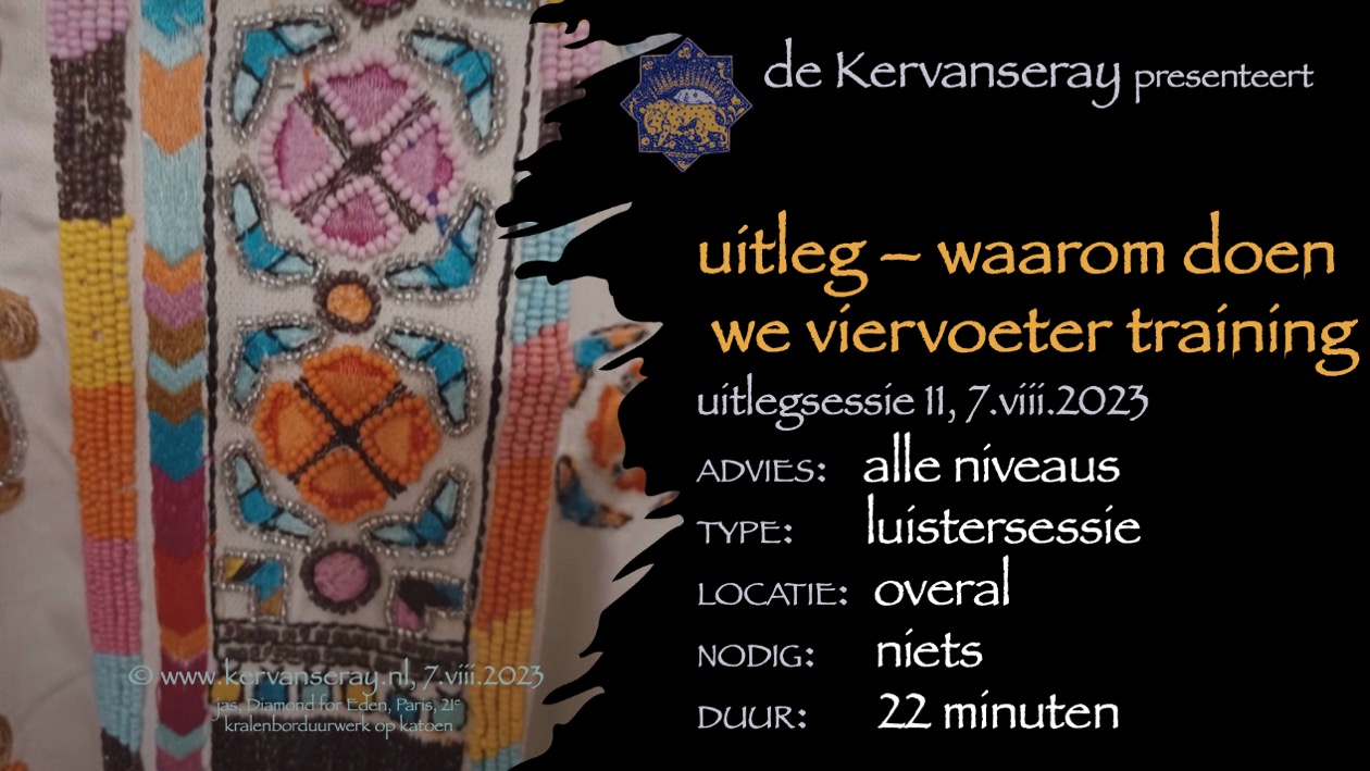 voorlichting vlog 2023: 11 waarom is viervoeter training belangrijk?