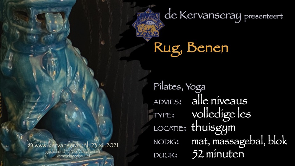 les mobiliteit & flexibiliteit: rug en benen