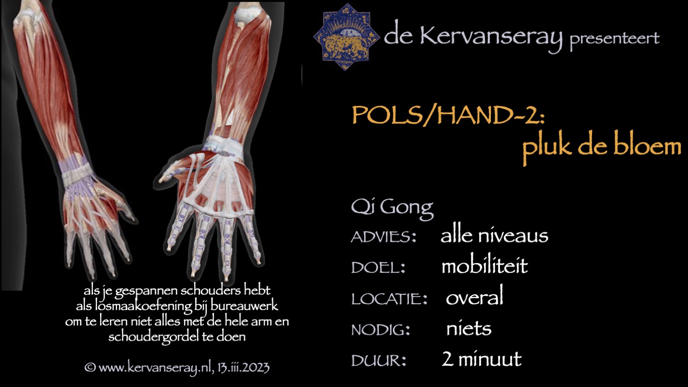 oefening reset losmaken pols & hand: 2 pluk de bloem