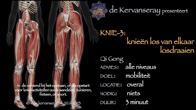 oefening reset losmaken knie: 3 knieë...