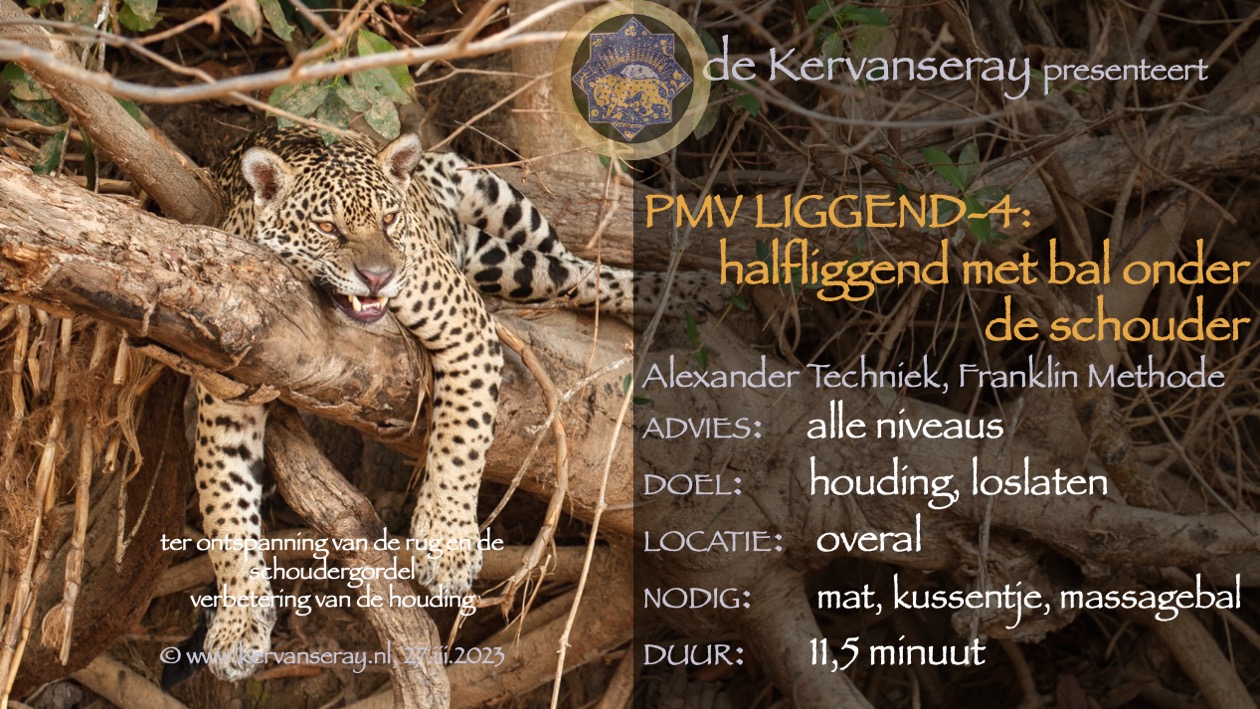 oefening reset PMV liggend: 3 halfliggend met een bal onder de bil