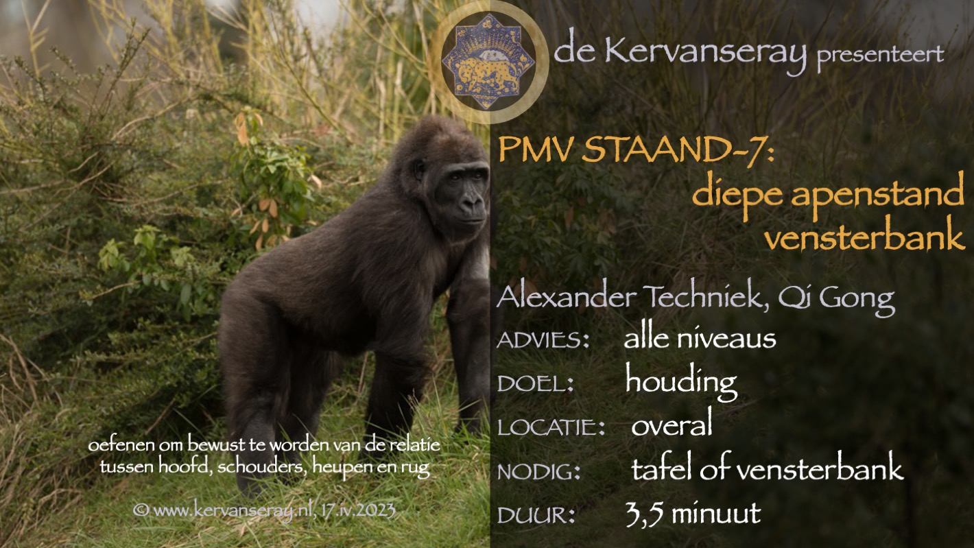 oefening reset PMV staand: week 7 diepe apenstand aan een vensterbank