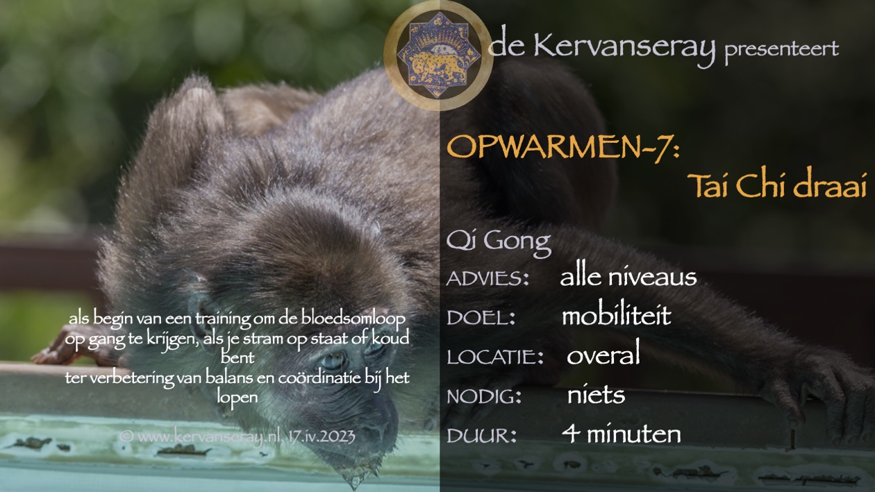 oefening reset opwarmen: 7 tai chi draai