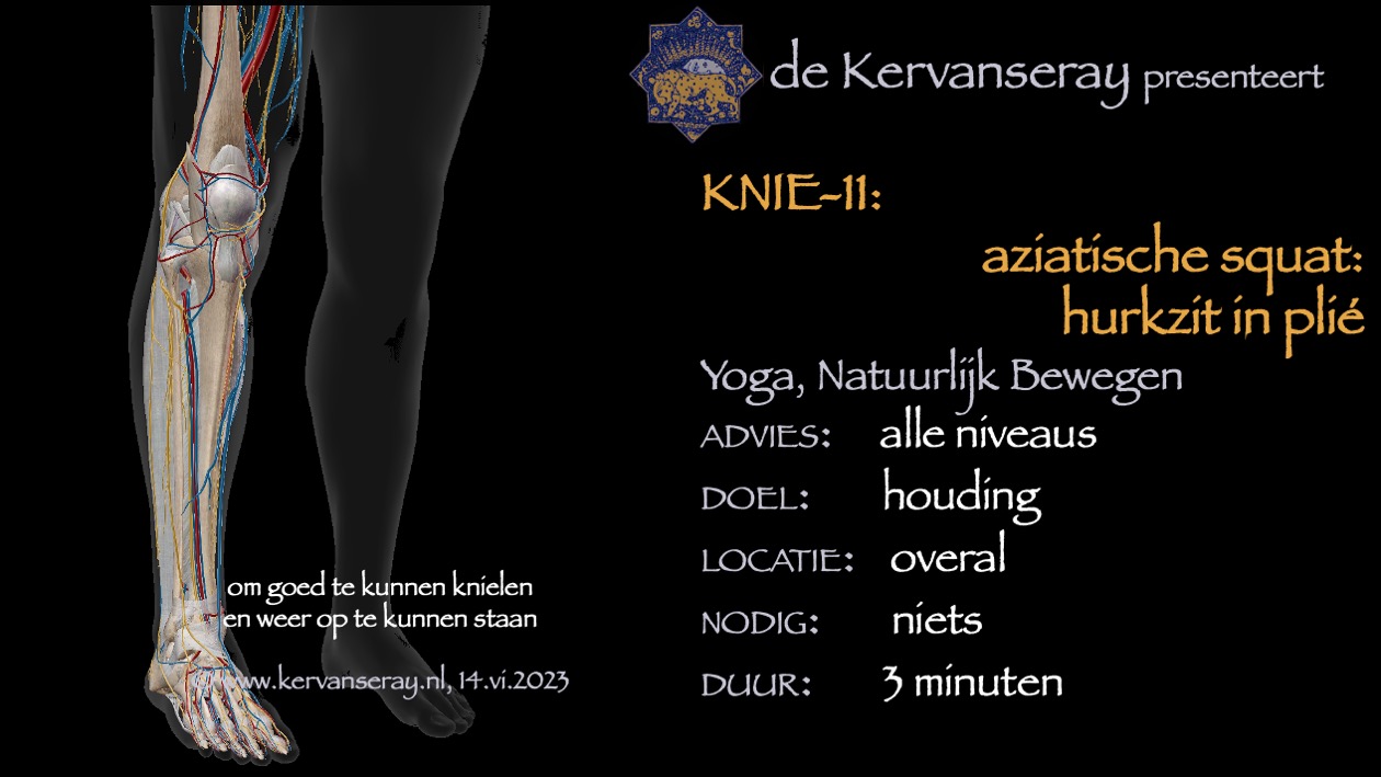 oefening reset losmaken knie: 11 hurkzit in plié (aziatische squat)