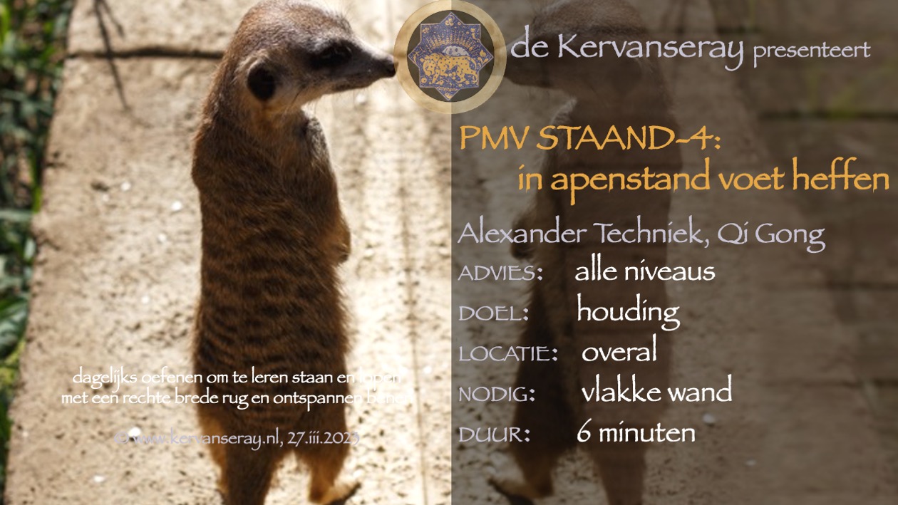 oefening reset PMV staand: week 4 in apenstand voet heffen