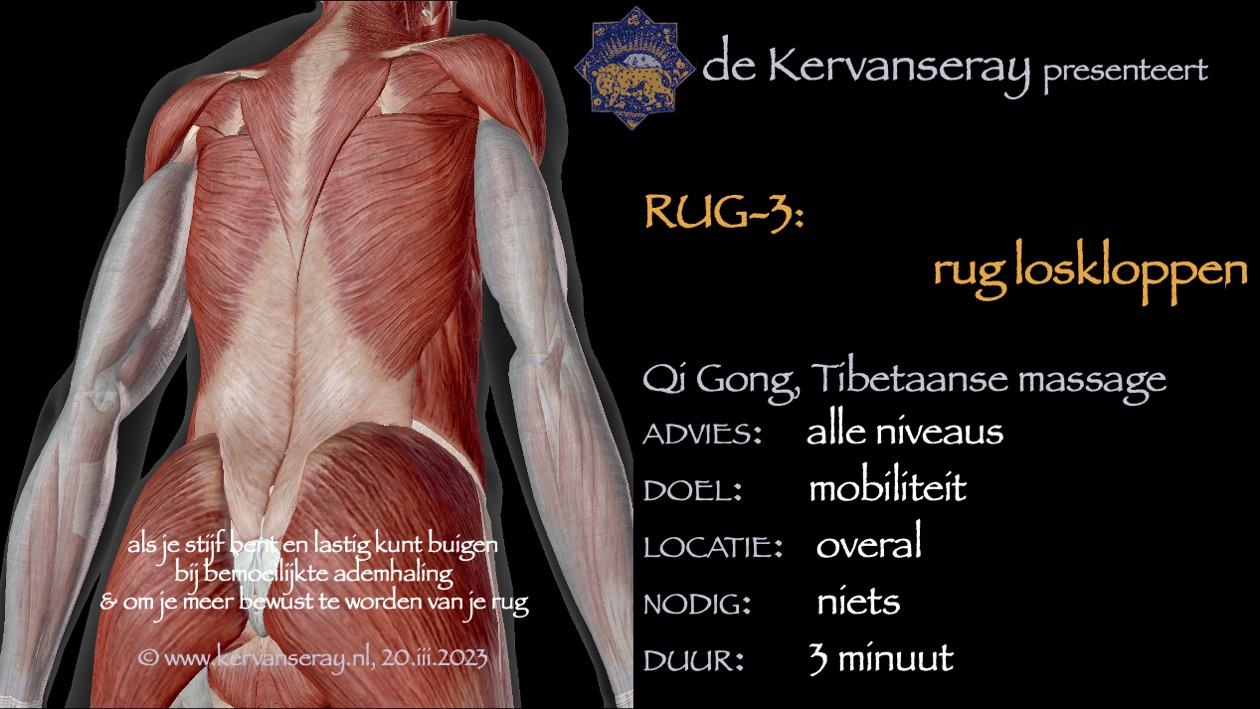oefening reset losmaken rug: 3 rug loskloppen