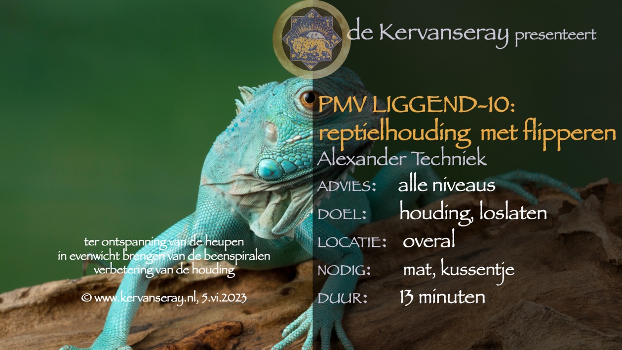 oefening reset PMV liggend: 10 reptielhouding met flipperen