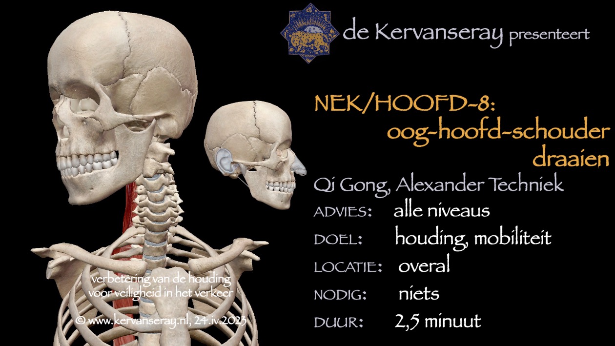 oefening reset losmaken nek & hoofd: 8 oog-hoofd-schouder draaien