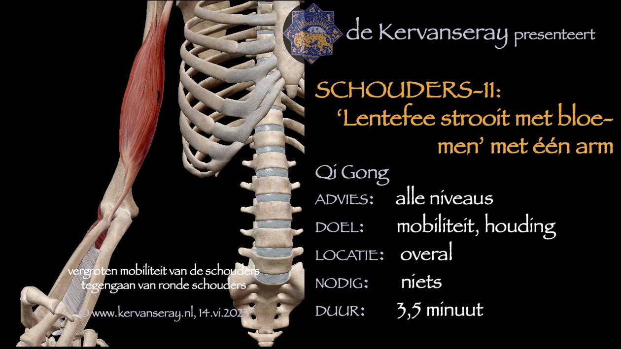 oefening reset losmaken schouders: 11 'lentefee strooit met bloemen' met één arm
