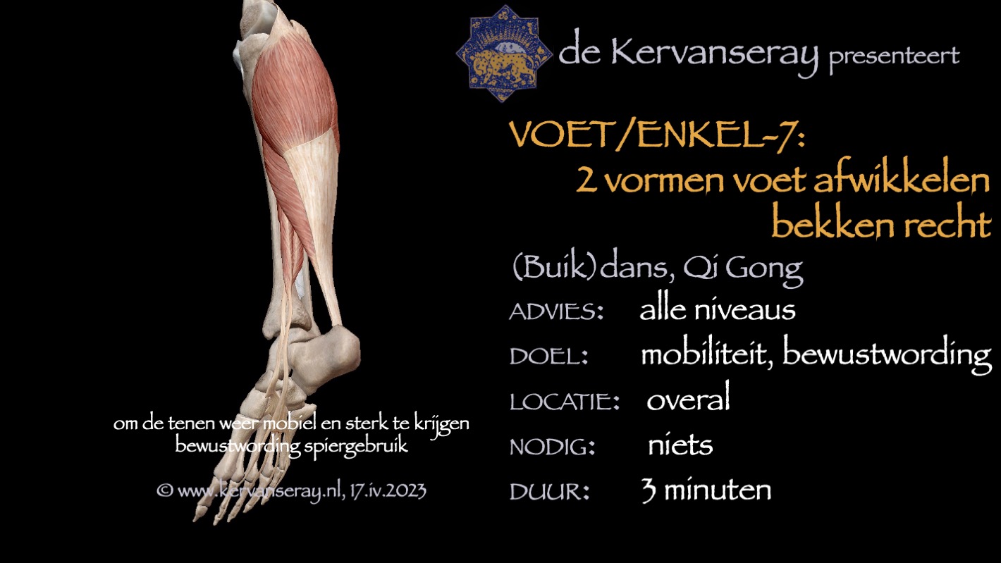 oefening reset losmaken voet & enkel: 7 voet afwikkelen met het bekken recht