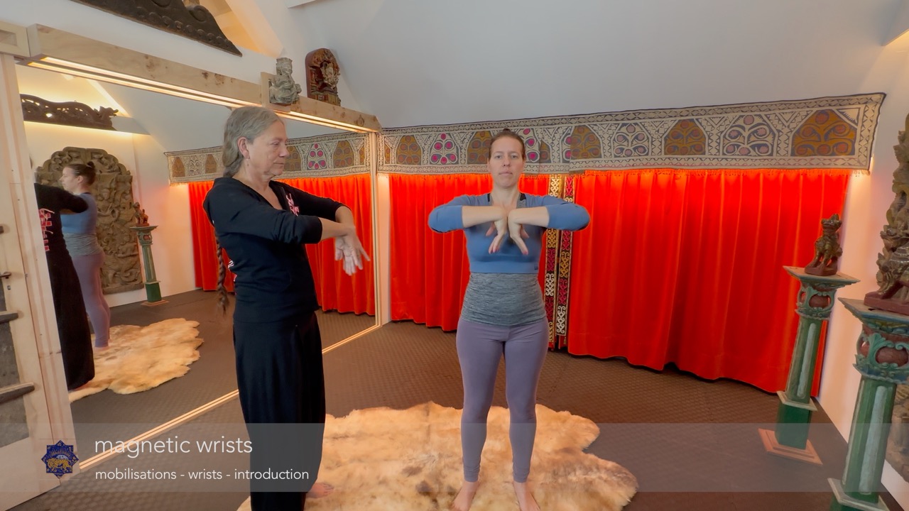 instructie & oefening: magnetische bandjes om de polsen (magnetic wrists)