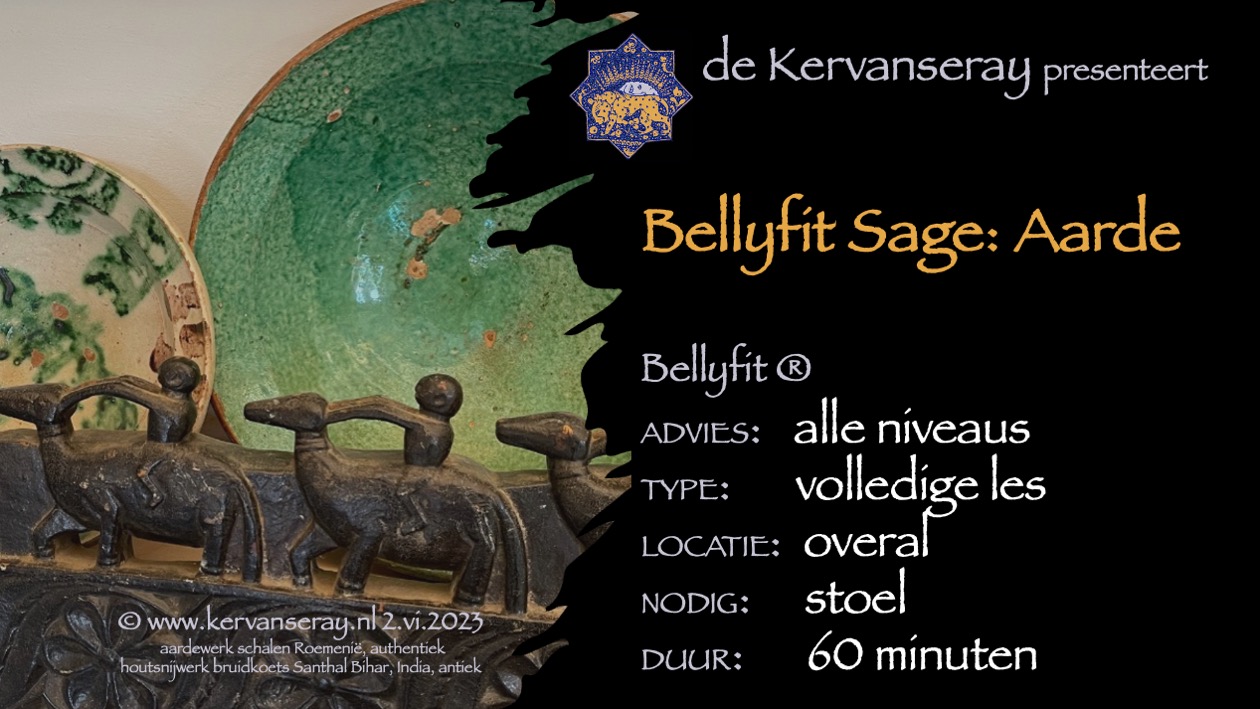 les bellyfit sage: 6 thema work-out 'aarde'