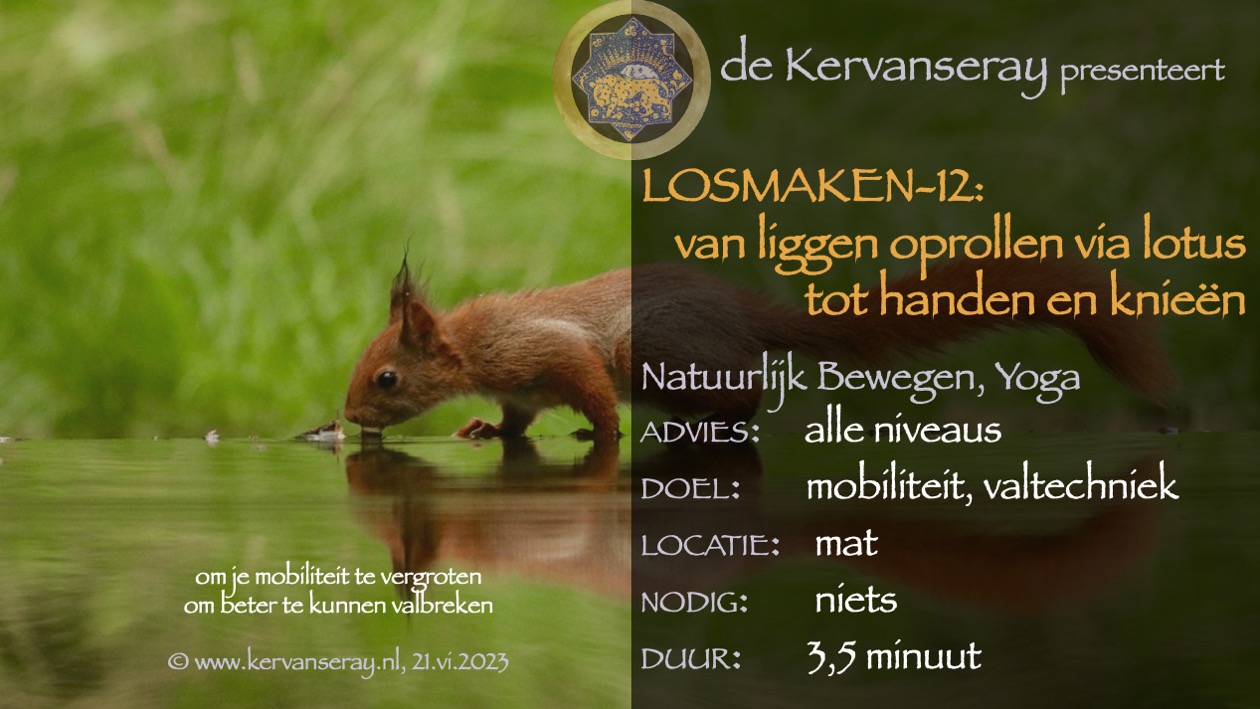 oefening reset losmaken op de mat: 12 oprollen via lotuszit tot handen en knieën