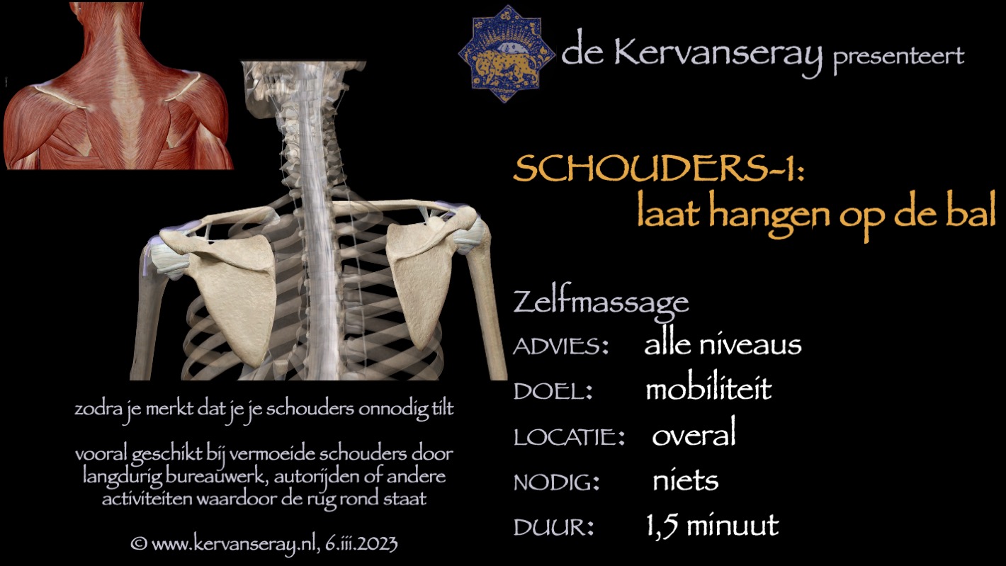 oefening reset losmaken schouders: 1 laat hangen op de bal