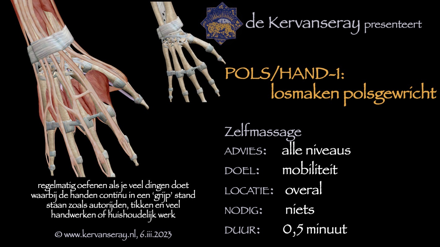 oefening reset losmaken pols & hand:1 losmaken van het polsgewricht
