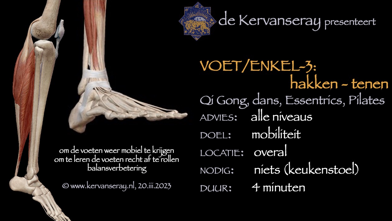 oefening reset losmaken voet & enkel: 3 van hakken naar tenen rollen