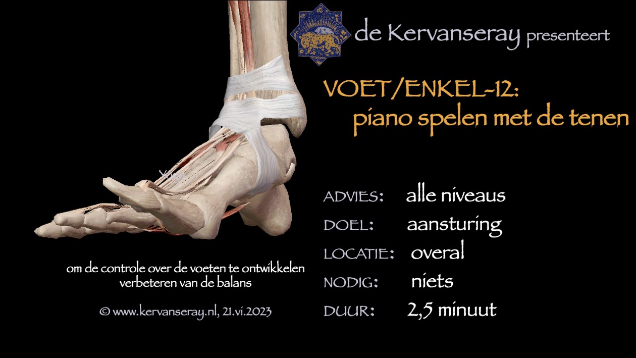 oefening reset losmaken voet & enkel: 12 piano spelen met de tenen