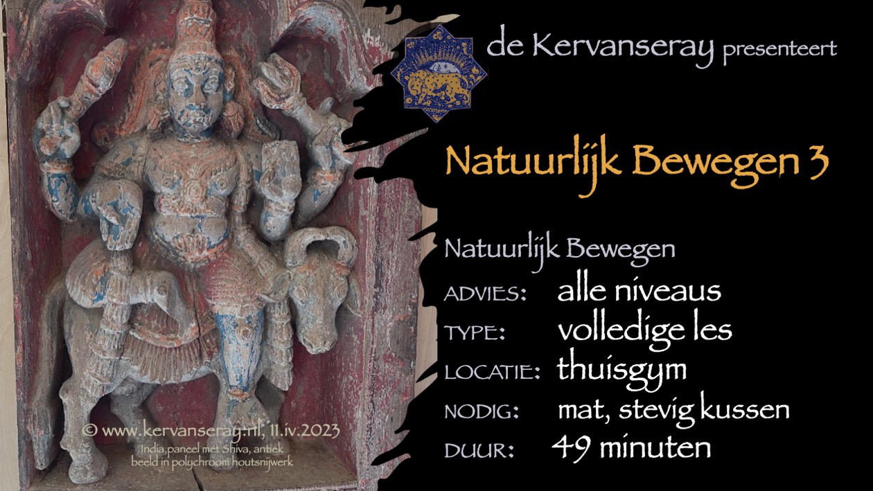 les natuurlijk bewegen: 3 introductie in de natuurlijke manieren van bewegen