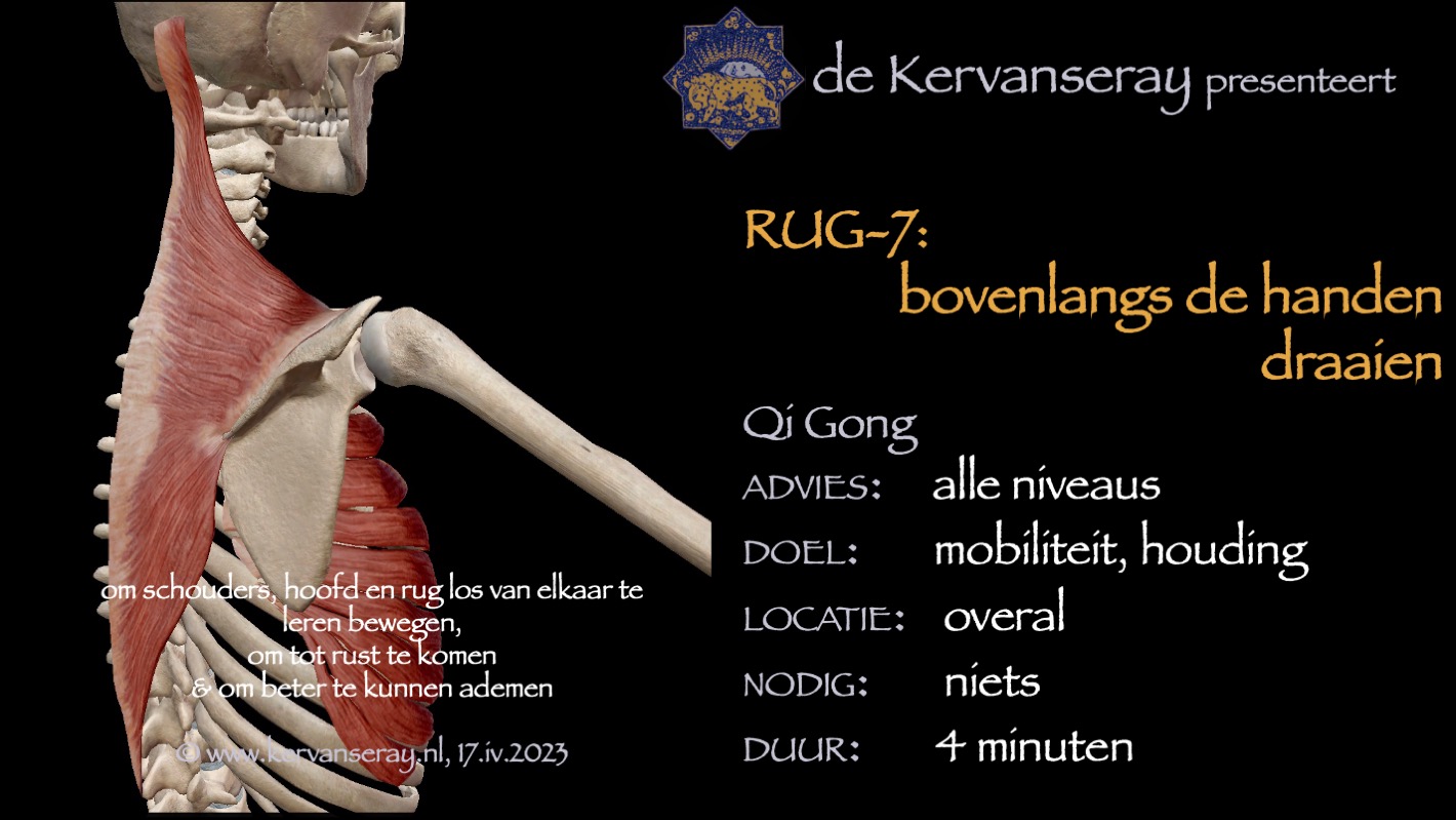 oefening reset losmaken rug: 7 bovenlangs de handen draaien