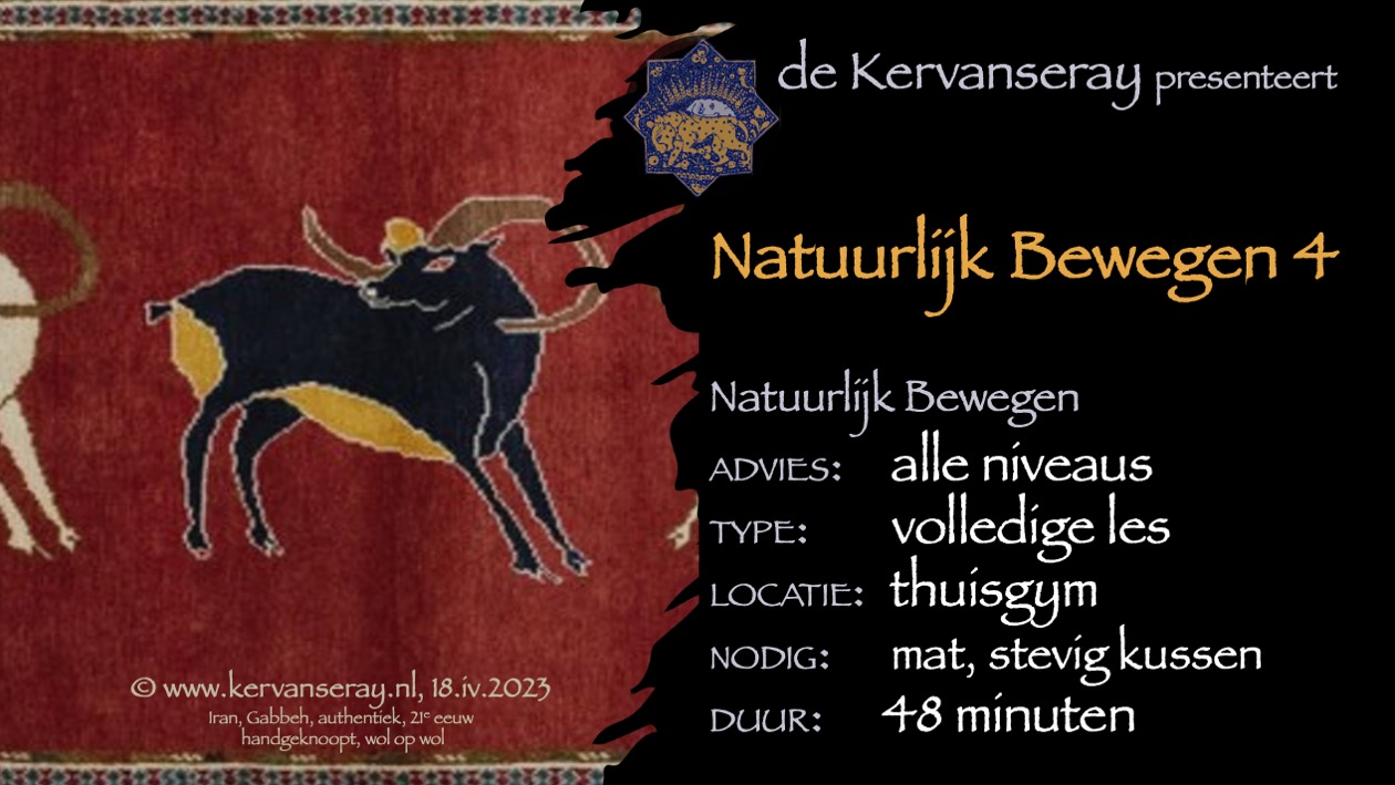les natuurlijk bewegen: 4 introductie in de natuurlijke manieren van bewegen