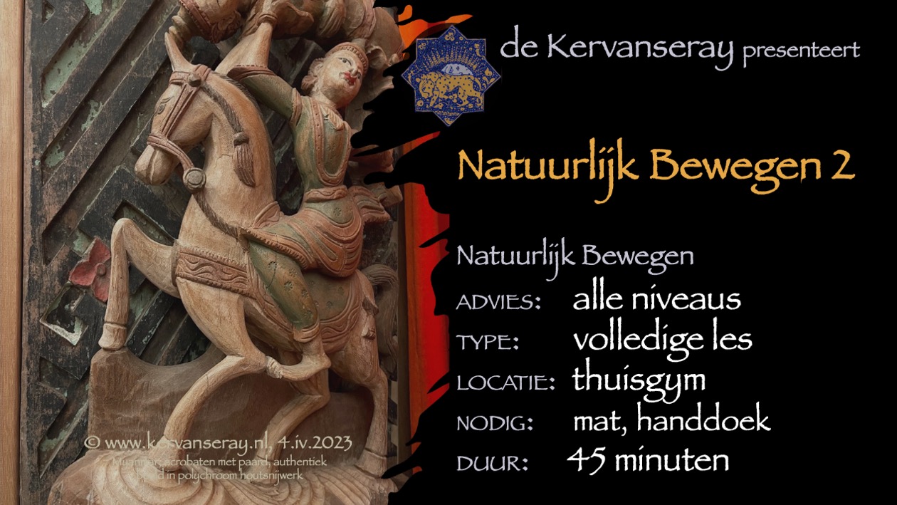 les natuurlijk bewegen: 2 introductie in de natuurlijke manieren van bewegen