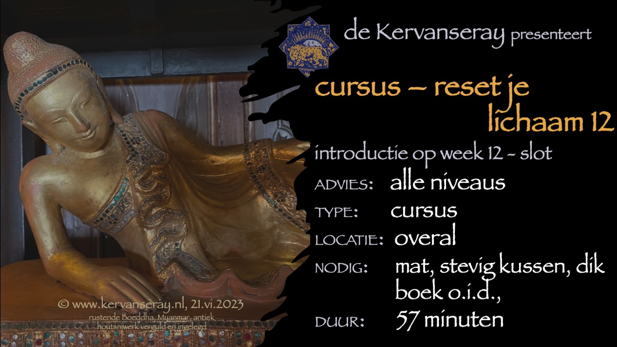 cursus reset je lichaam: week 12