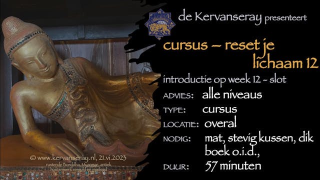 cursus reset je lichaam: week 12