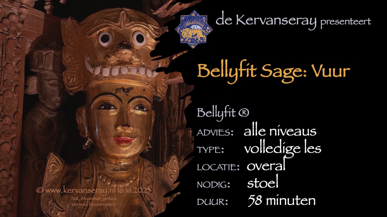 les bellyfit sage: 7 thema work-out 'vuur'