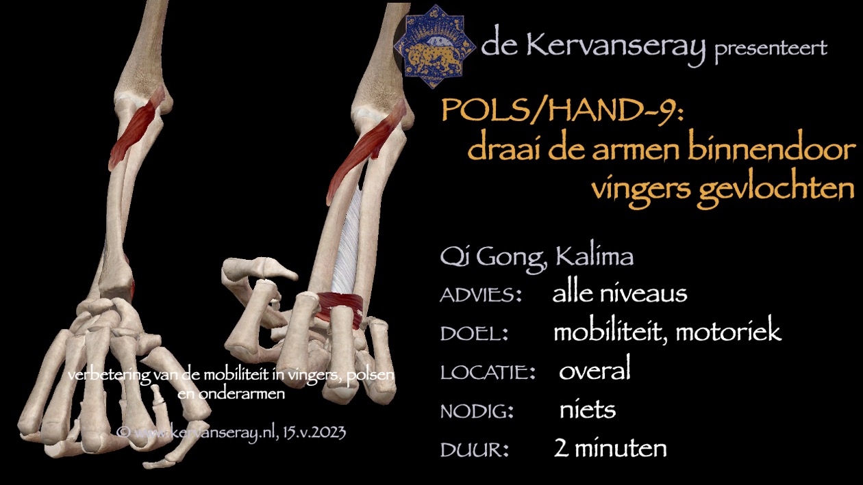 oefening reset losmaken pols & hand: 9 draai armen binnendoor vingers gevlochten