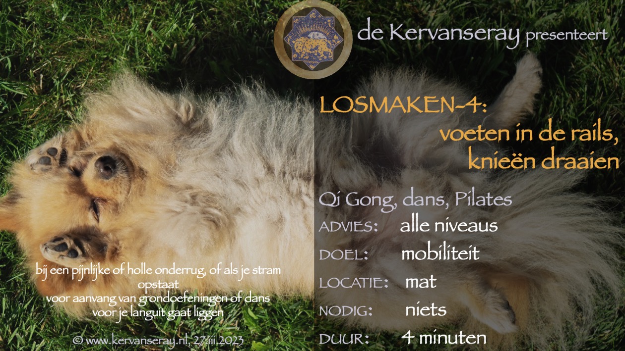oefening reset losmaken op de mat: 4 voeten in de rails, knieën draaien
