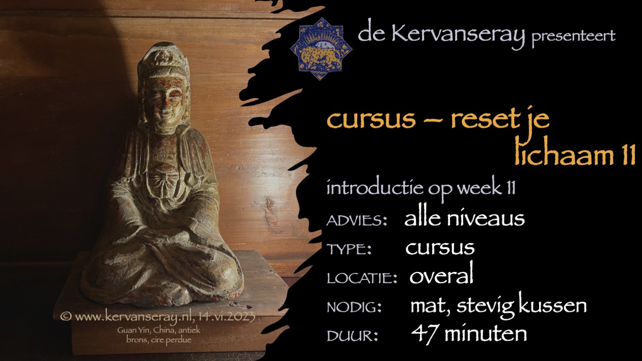 cursus reset je lichaam: week 11