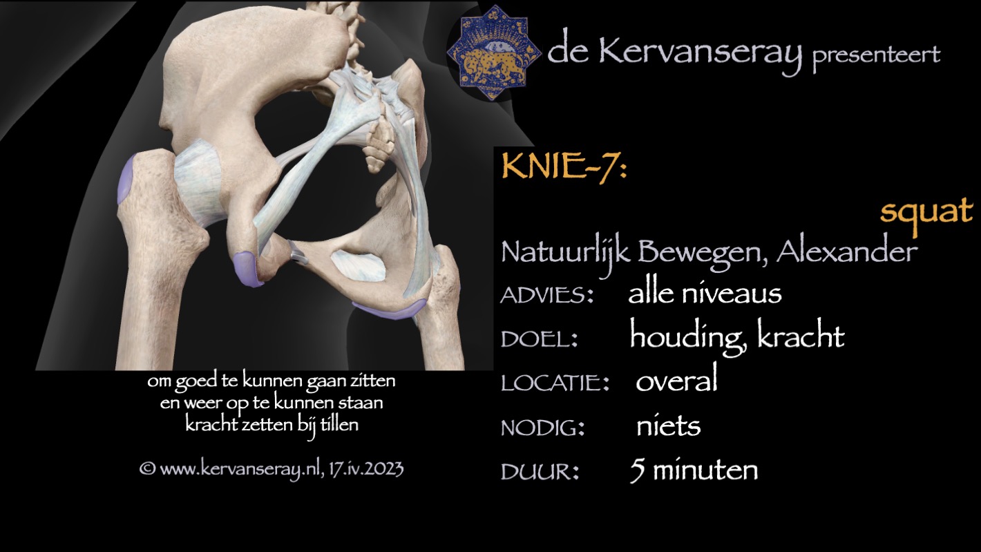 oefening reset losmaken knie: 7 squat
