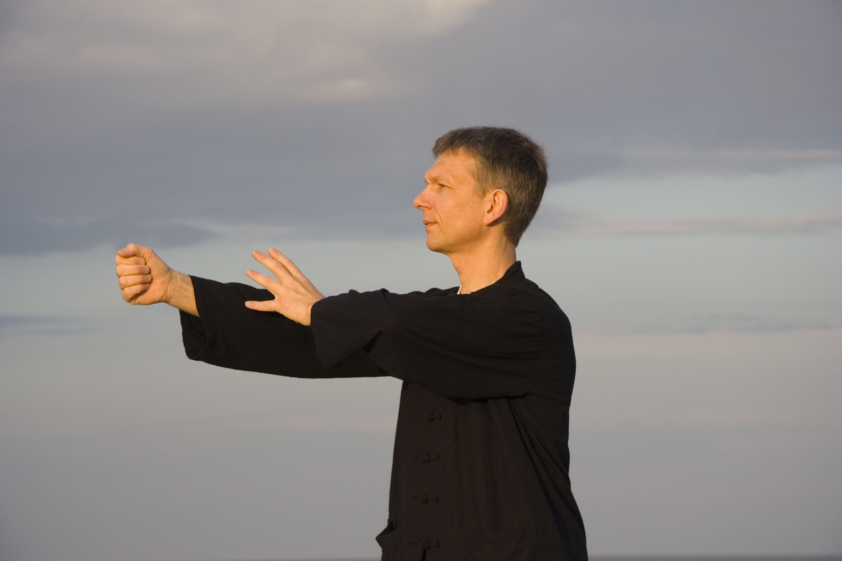 instructie qi gong: kluizenaarsserie
