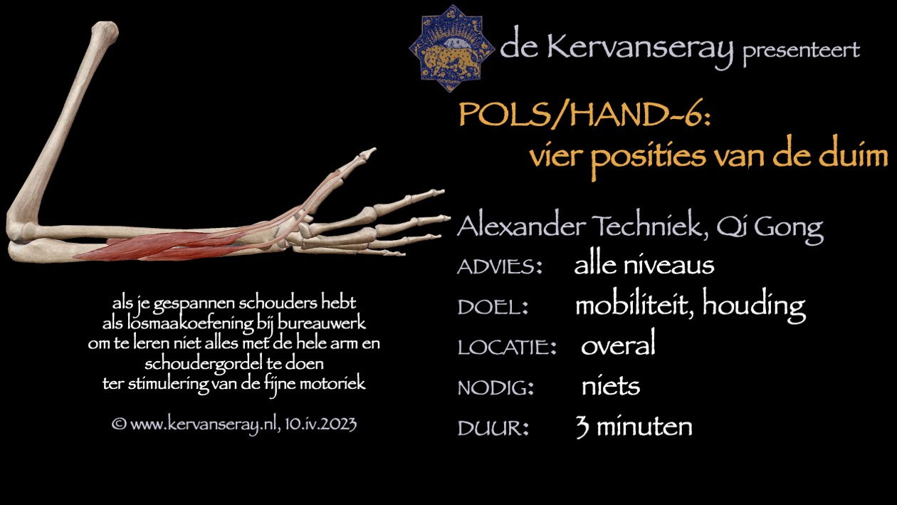 oefening reset losmaken pols & hand: 6 vier posities van de duim