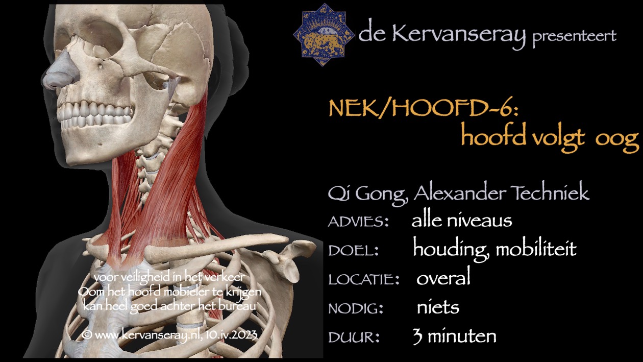 oefening reset losmaken nek & hoofd: 6 hoofd volgt oog