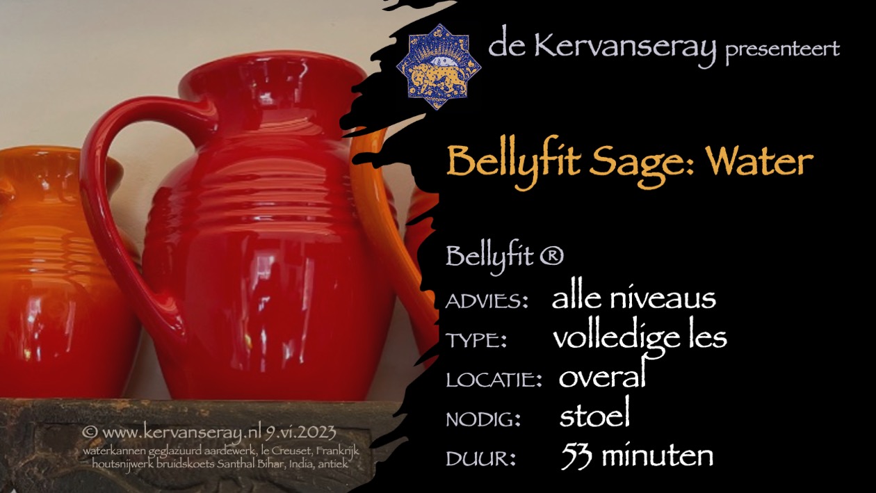 les bellyfit sage: 5 thema work-out 'water'
