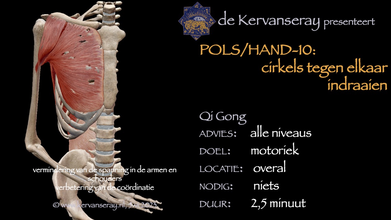 oefening reset losmaken pols & hand: 10 cirkels tegen elkaar indraaien