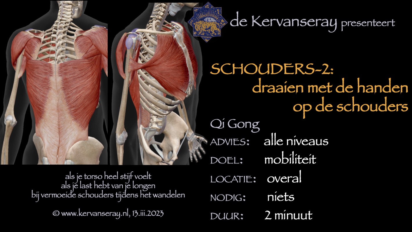 oefening reset losmaken schouders: 2 draaien met de handen op de schouders