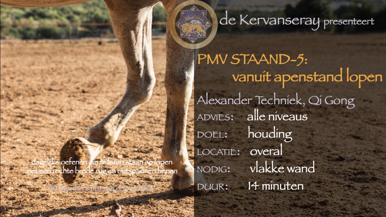 oefening reset PMV staand: week 5 vanuit apenstand lopen