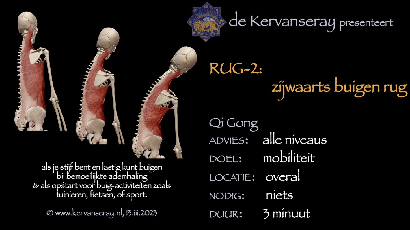 oefening reset losmaken rug: 2 zijwaarts buigen van de rug