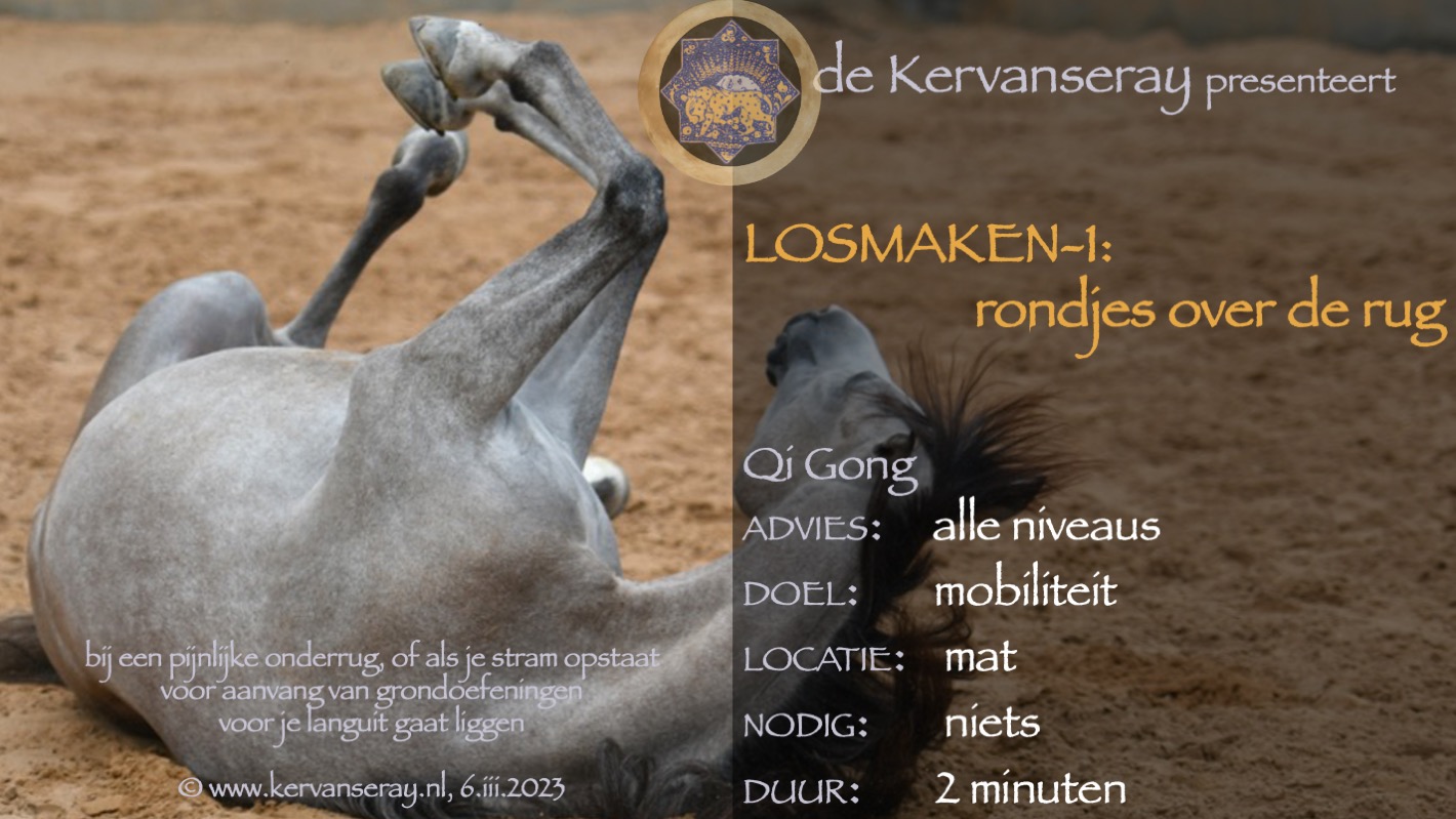 oefening reset losmaken op de mat: 1 rondjes over de rug