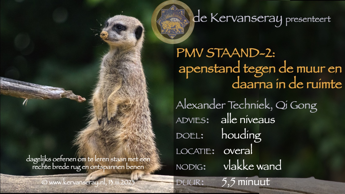 oefening reset PMV staand: week 2 apenstand tegen de muur en daarna in de ruimte